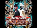 Bartbaker feat nicolle rochelle  swing phenomenon dj mibor remix