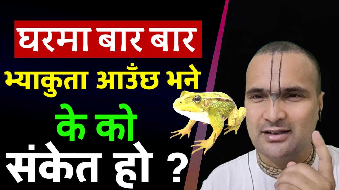 घरमा बारम्बार भ्याकुता आएमा के संकेत हुन्छ ?