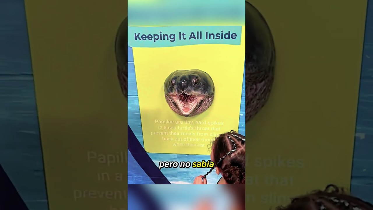 😱🐢 **¡Todos quedaron sorprendidos al descubrir este secreto oculto en la boca de la tortuga!**