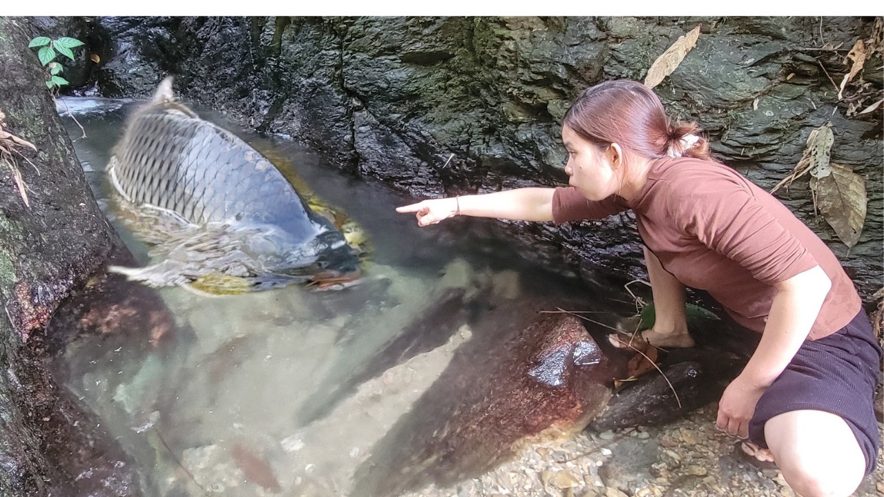 Meet the giant fish in a puddle upstream. Use PVC pipe and wooden board to catch fish.Catching fish