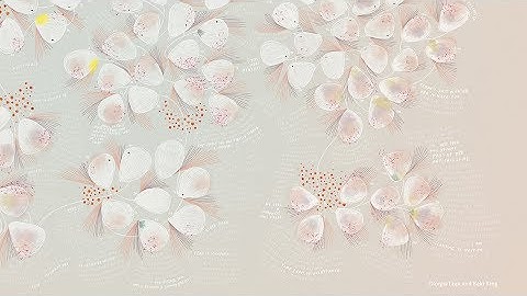 Giorgia Lupi and Kaki King  - Bruises - The Data We Don