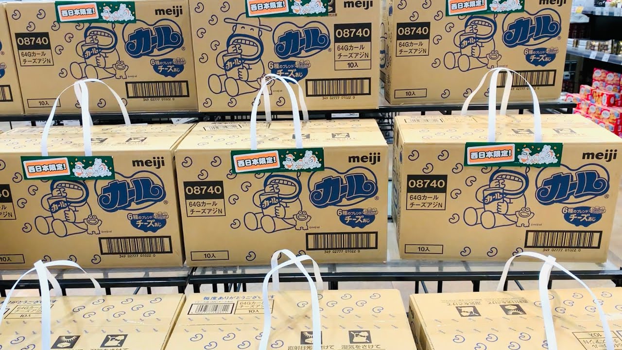 新春！初詣早朝徘徊 4