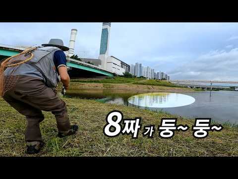An 80cm carp is floating right at my feet. (Rising carp are easy to catch) - 2026 fly fishing EP8...