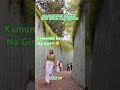 Fort Canning Tree Tunnel in Singapore #short #shortutube #shorts #shortfeed #singapore #ofw #viral