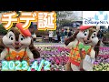 【チデ誕】大好きなリスくん達のスクリーンデビューをお祝いしてきた！in東京ディズニーシー