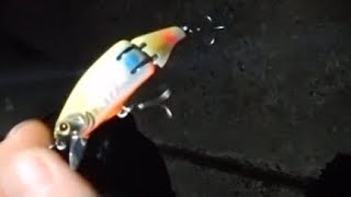 ﾒﾊﾞﾘﾝｸﾞ#ｱｰﾏｰｼﾞｮｲﾝﾄ60sでﾒﾊﾞﾙﾌﾟﾗｸﾞﾙｱｰ...ｱｰﾏｰｼﾞｮｲﾝﾄ、ﾒｯﾁｬ釣れます！！