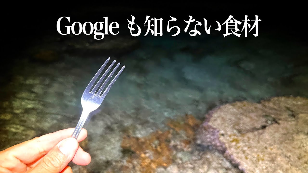 【フォークで潮干狩り】Googleも知らない幻の高級食材マガイナー獲って食う【イジャイ・イザリ】