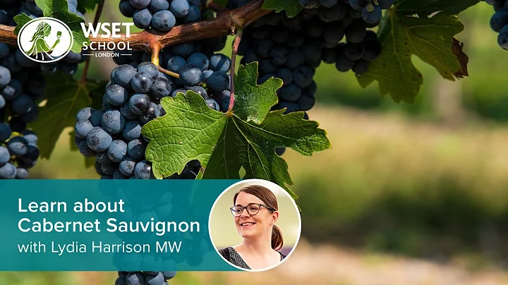 Learn about Cabernet Sauvignon with Lydia Harrison MW