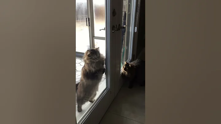 Please come in!