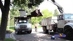 Advanced Tree Care - Home Owner Services