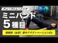 【５分】 チューブを使った股関節トレーニング５種目【ミニバンド】【自宅トレ】