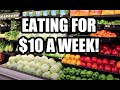 HOW TO EAT FOR $1.50 A DAY | Emergency Extreme Budget Grocery Haul 2020 with Frugal Fit Mom