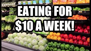 HOW TO EAT FOR $1.50 A DAY | Emergency Extreme Budget Grocery Haul 2020 with Frugal Fit Mom