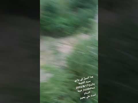 الامطار والسيول بوادي سربه ذمار السنام