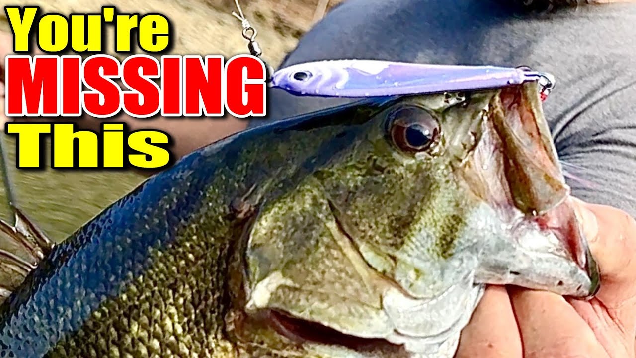 Is Your Winter Bass Fishing Gear Missing This ONE Crucial Item?