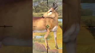 deer new level sniper Target #trendingvideo #viralvideo #trendingshorts #shortsviral screenshot 5