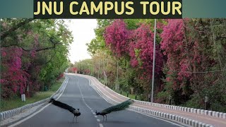 JNU CAMPUS  TOUR | Natural Beauty of JNU | JNU New Delhi Campus Tour |#jnucampustour #hrkstudyo