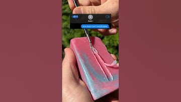 @Plug_Ai CHAT PLEASE DON