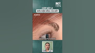 Chớp mắt là điều kiện sống của mắt