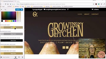 Customise menu in WordPress with Divi Theme