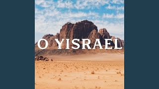 Video thumbnail of "Left and Right Ministries - O Yisrael"