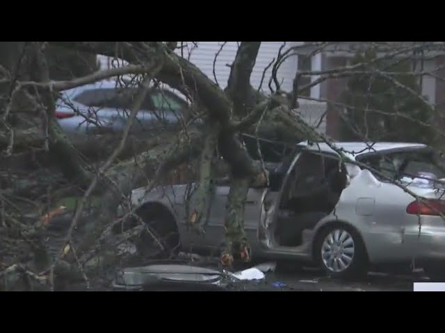 Trees Uprooted Power Cut Off During Storm On Li