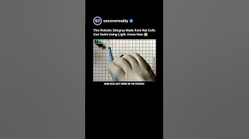 This Robotic Stingray Made From Rat Heart Cells Can Swim Using Light. Know How 😱 #robot #shorts