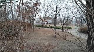 20180325(1)