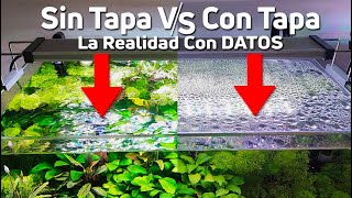 Acuarios Tapados o sin Tapar ¿Cuál es la Mejor Opción? Ventajas e Inconvenientes