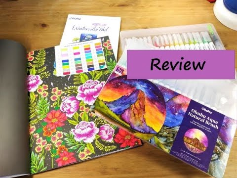 Ohuhu markers review 