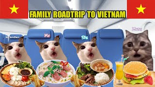 Cat Memes Family Roadtrip to Viet Nam Compilation