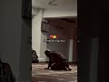 #viralshort😭😭😭