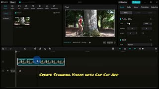 Create Stunning Videos with Cap Cut App