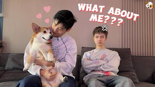 Jealous of Our Dog… and He Actually Started “Balancing” Us 🐶😂