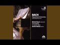 Miniature de la vidéo de la chanson Triple Concerto In A Minor, Bwv 1044: Ii. Adagio Ma Non Tanto E Dolce