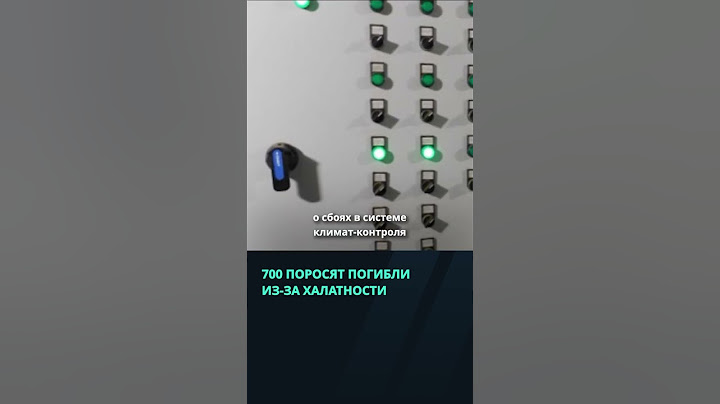 700 поросят погибли из за халатности на ферме в Лиозненском районе  #беларусь #новости