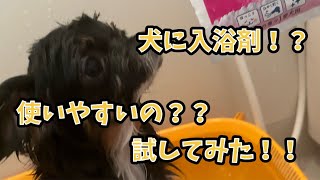 【こすらないでOK】犬用入浴剤のぬくりんを使ってみた【お手軽】