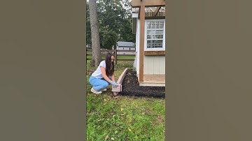 Beuta Landscape Edging DIY