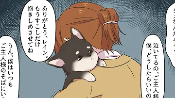 動物感動する話