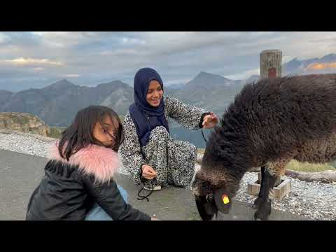 🏔️Grossglockner, Austria | Maryam and Fatima feeding wild Sheep🐑