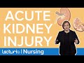 What is an Acute Kidney Injury? | AKI Explained | Pathophysiology / Med Surg | Lecturio Nursing