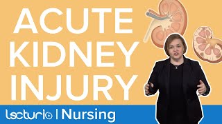 What is an Acute Kidney Injury? | AKI Explained | Pathophysiology / Med Surg | Lecturio Nursing
