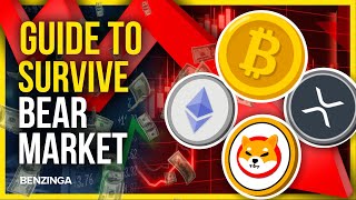 Mr Whale's Guide to Survive A Bitcoin Bear Market | Benzinga Crypto