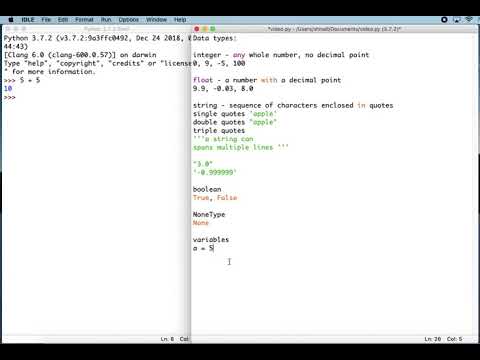 Python Basics - YouTube
