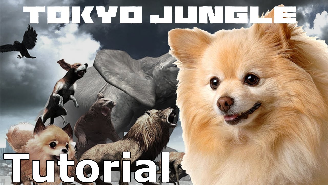 Tokyo Jungle w/octaneblue - Act Ex - Tutorial