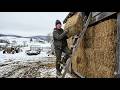 They Called It Cheap and Foolish… Until Their Firewood Turned to Ice