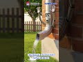 “Downspout Explained Simply 💧 Why Every US Home Needs It”