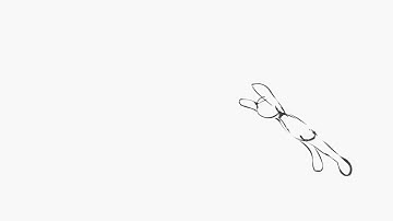 Adobe FLash Cs6  Animation Testing XD