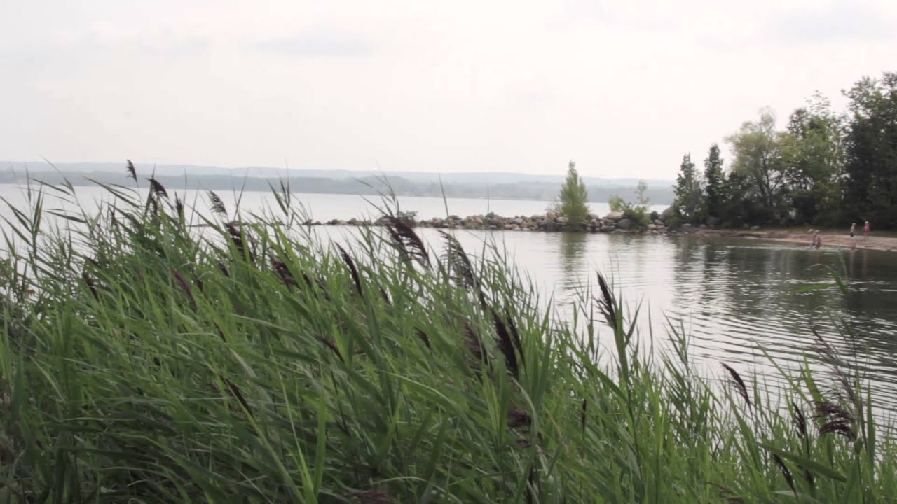 Owen Sound Salmon Spectacular YouTube