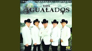 Video thumbnail of "Los Igualados - Te Amo"